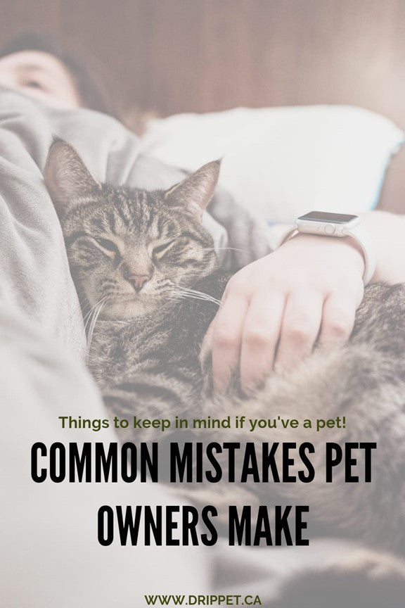 Common Mistakes Pet Owners Makes