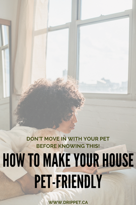 HOW TO MAKE YOUR HOUSE PET-FRIENDLY