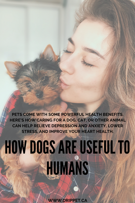 How Dogs Are Useful to Humans