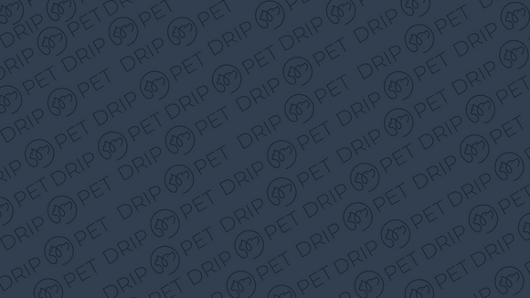 DripPet Pet Accessories