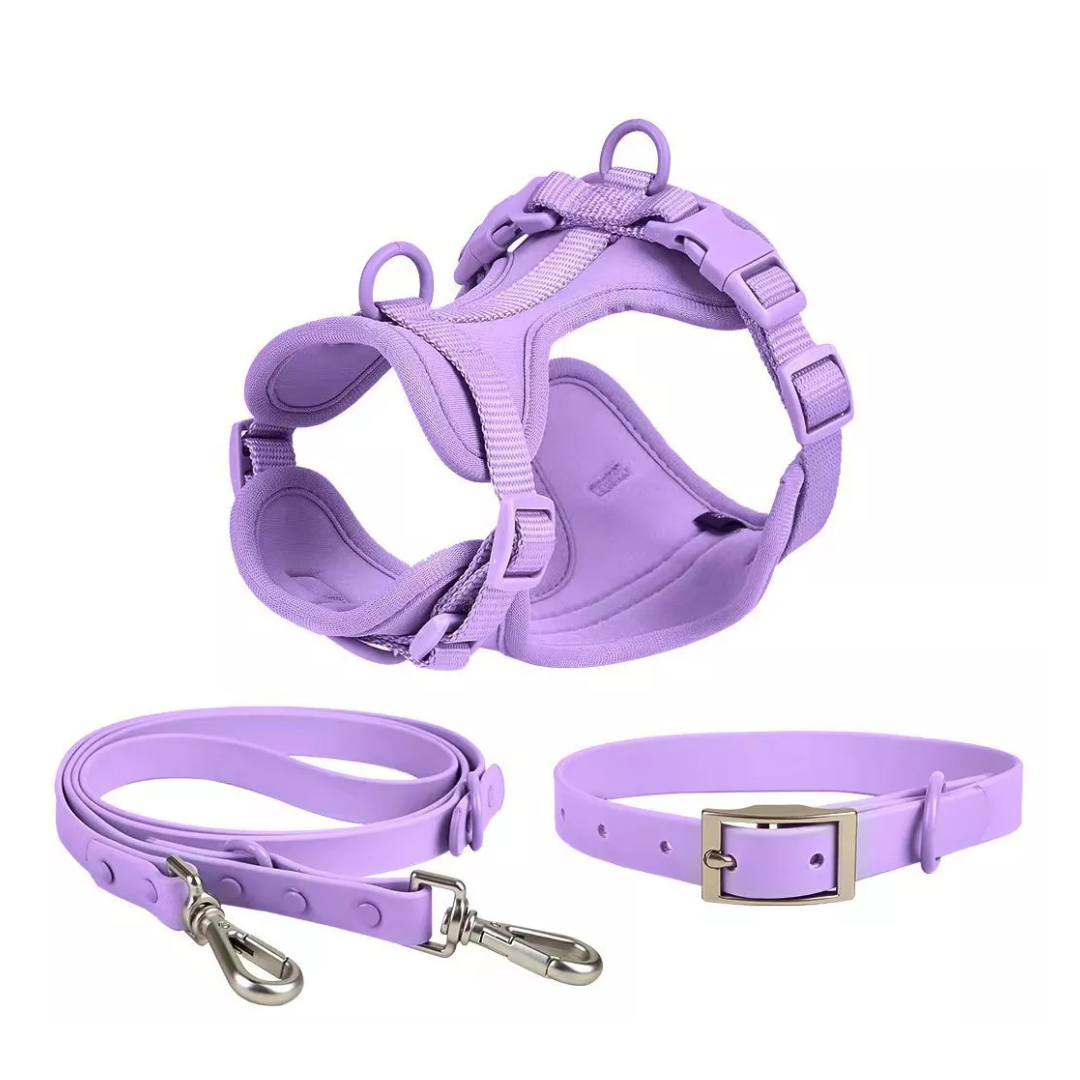 Harness Collar and Leash Bundle