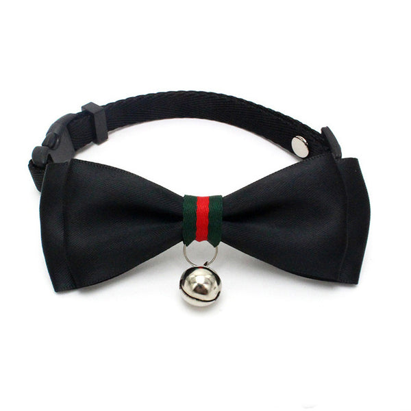 bow tie collar dogs