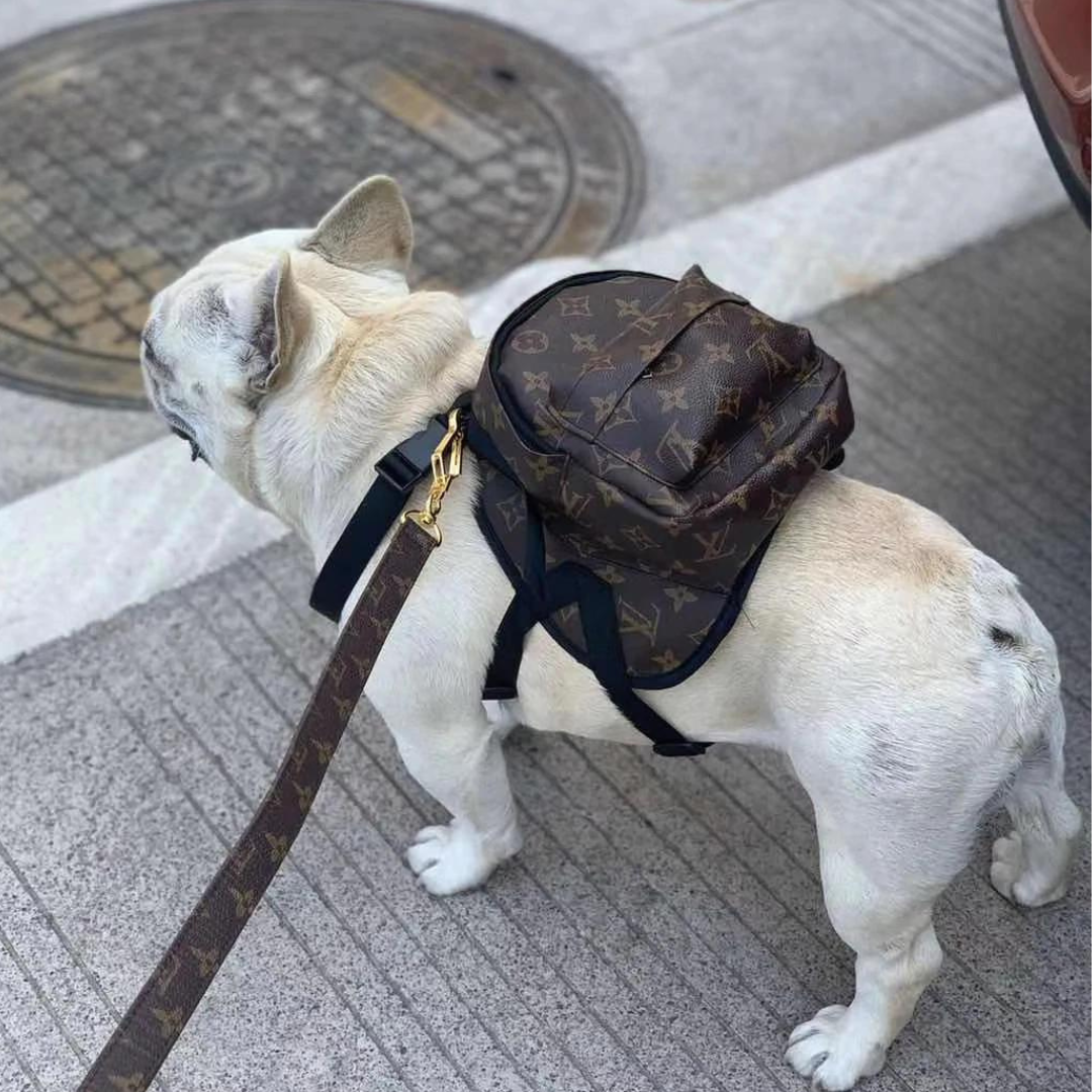 Chewy V Print Dog Backpack