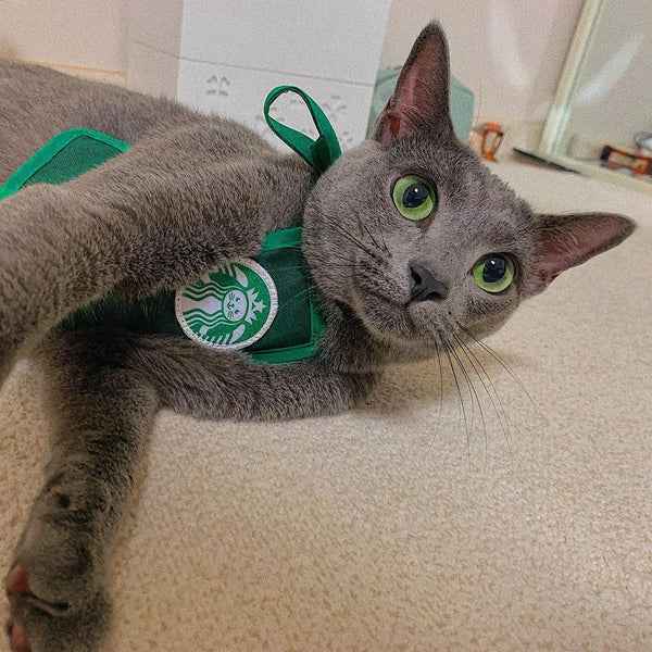 Puppacino Apron