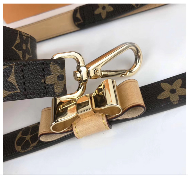 designer dog collar and leash