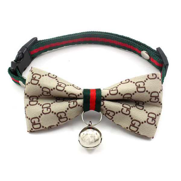 pucci collar