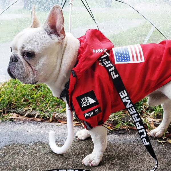 The Dog Face Windbreaker