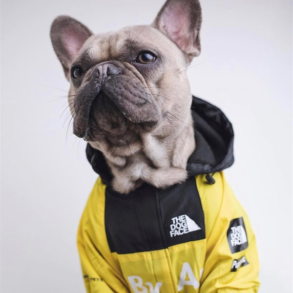 The Dog Face Windbreaker